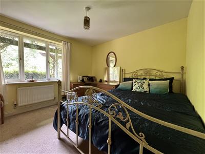 Picture 15